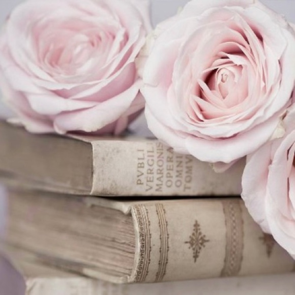 🩷 Bundle 3 to Save - Picture 4 of 7